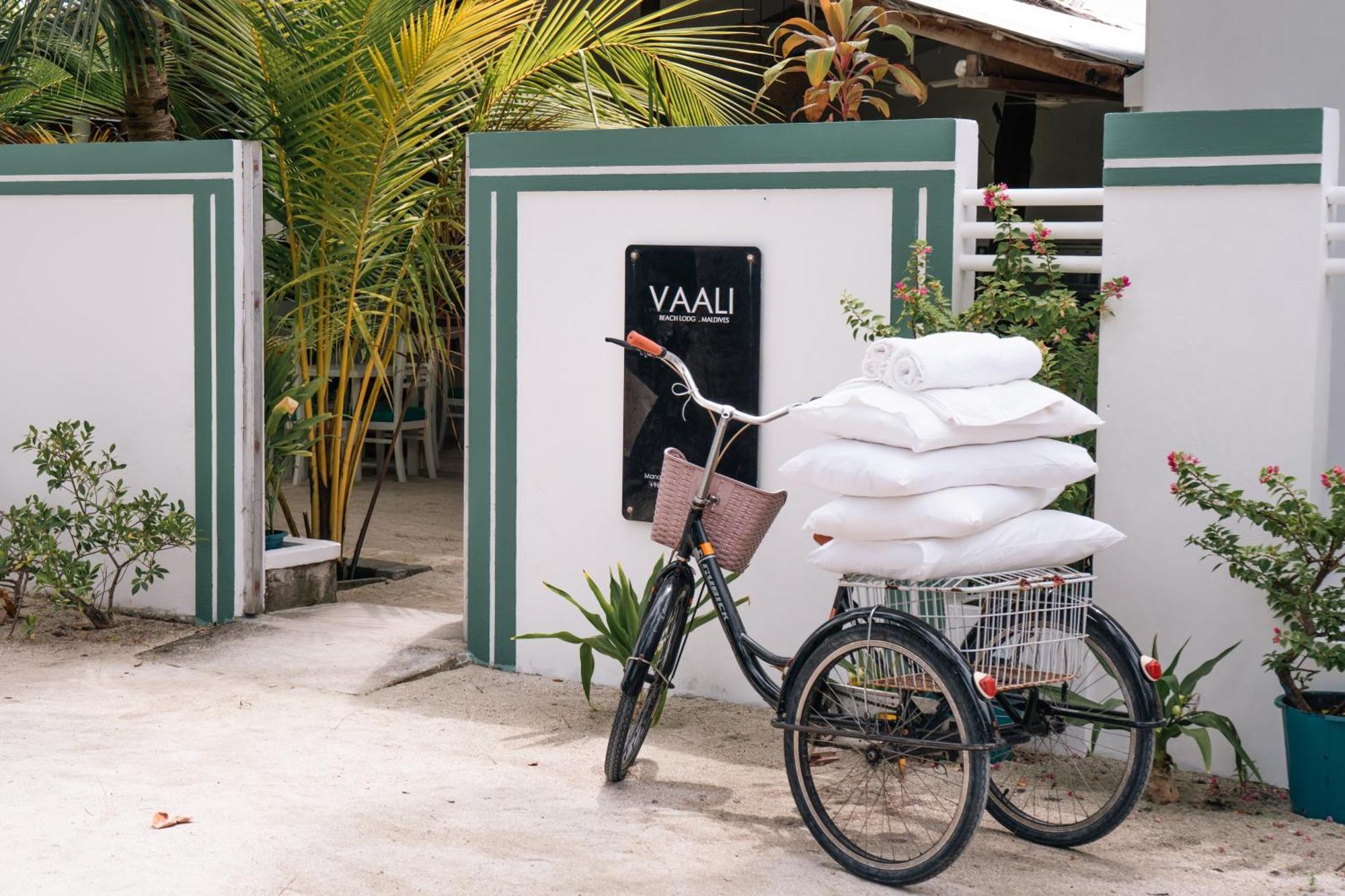Vaali Maldives Island Escapes & Dive Otel Felidhoo Dış mekan fotoğraf