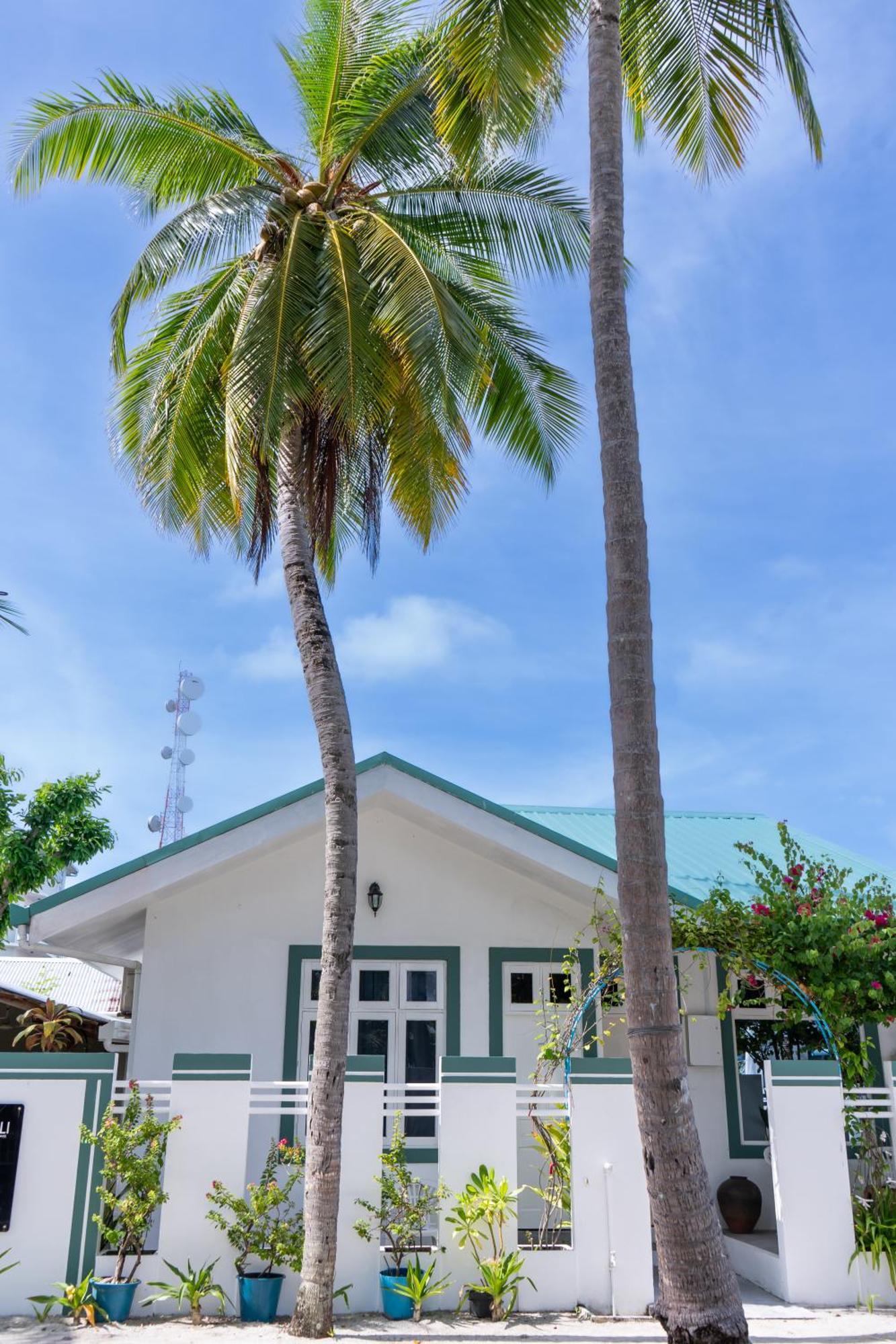 Vaali Maldives Island Escapes & Dive Otel Felidhoo Dış mekan fotoğraf