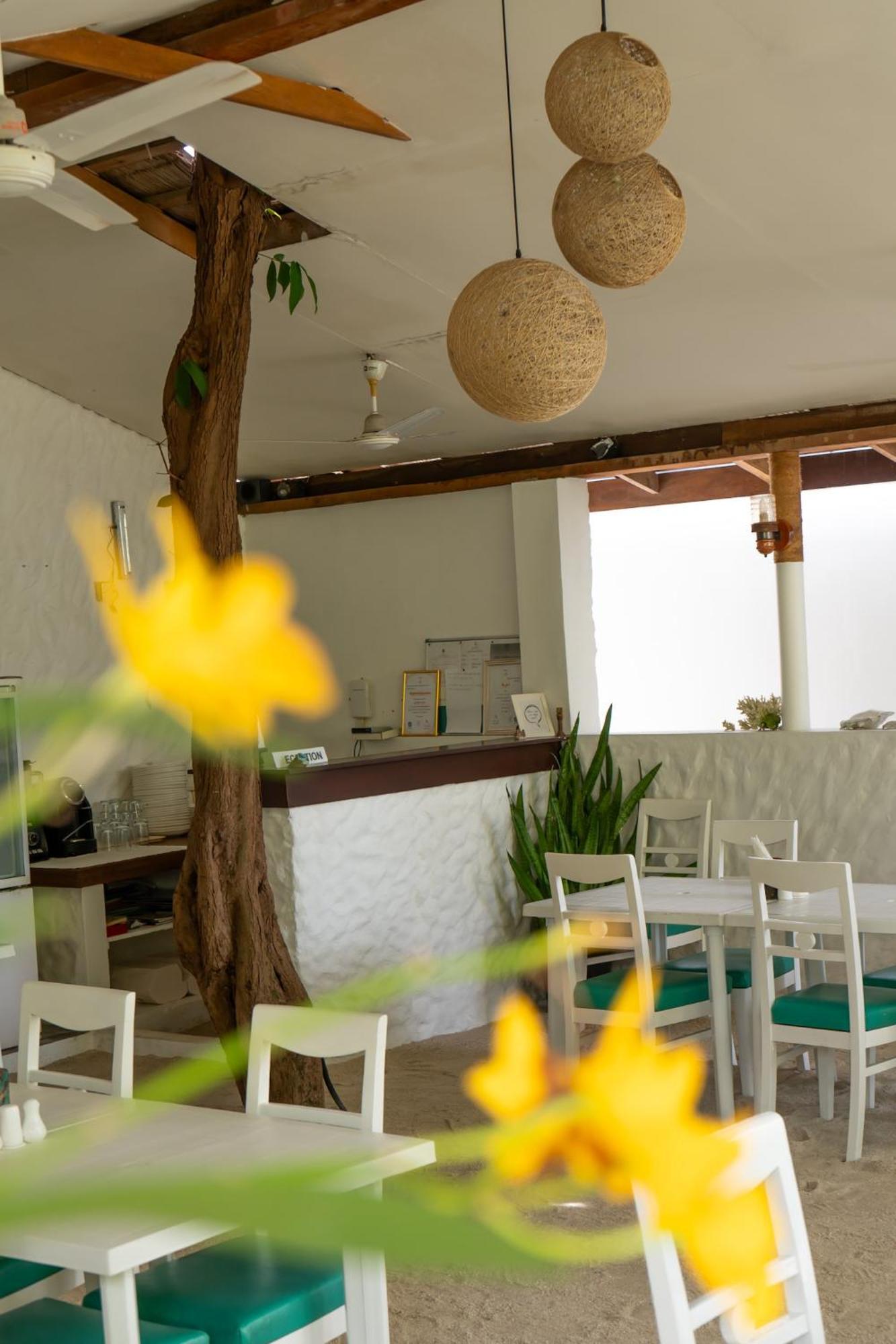 Vaali Maldives Island Escapes & Dive Otel Felidhoo Dış mekan fotoğraf