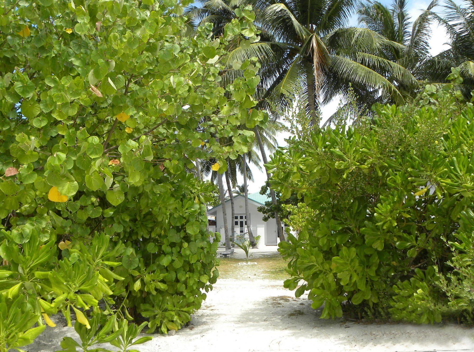 Vaali Maldives Island Escapes & Dive Otel Felidhoo Dış mekan fotoğraf